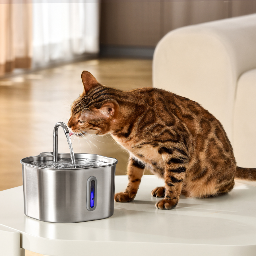 Pawsist™ – Fuente de Agua Inteligente para Gatos
